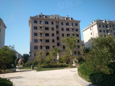 图片关键词 image